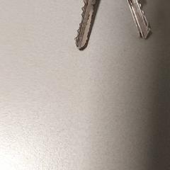 Chiavi, come riportato da Centraal magazijn utilizzando iLost