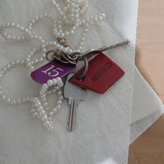 Sleutels, som rapportert til iLost