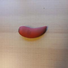 Stresswortel rood がiLostで UVO Vervoer によって報告されました