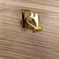 Brosch PSI, rapporterat av RAI Amsterdam med iLost