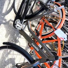 Bici da donna Gazelle, come riportato da Stadswerk072 utilizzando iLost