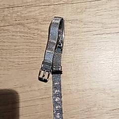 Armband, rapporterat av Regio Antwerpen - Brussel med iLost