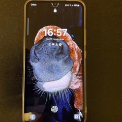 Samsung galaxy, segons s'ha informat a iLost