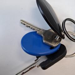 Sleutelbos, ha sido reportado a iLost