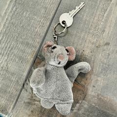 Sleutel met sleutelhanger, segundo informou a iLost