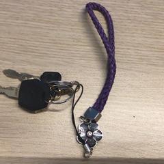 Keys, as reported by Gemeente Arnhem using iLost
