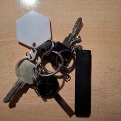 Sleutelbos, som rapporterats till iLost