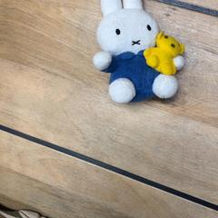 Peluix, segons ha informat IKEA Delft mitjançant iLost