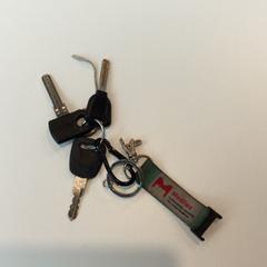 Nyckelring, rapporterat av Gemeente Weert med iLost