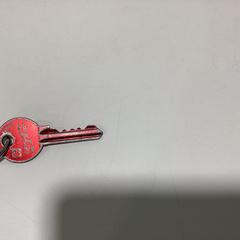 열쇠 -090126 ANDRE1, iLost를 사용하여 Ziggo Dome에 보고됨