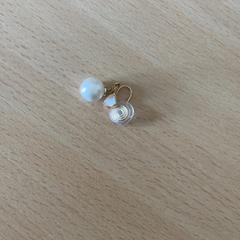 Boucle d'oreille, a été signalé par Schönbrunn "Group Center" utilisant iLost