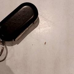 鍵 がiLostで De Efteling によって報告されました