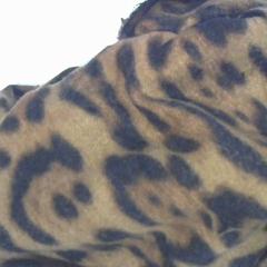 İLost kullanarak Relais Azalys tarafından bildirildiği gibi Atkı