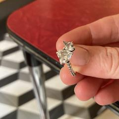 Ring met hartjes, segons s'ha informat a iLost