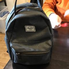 Motxilla, segons ha informat U-OV Utrecht mitjançant iLost