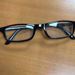 النظارات Glasses، كما تم الإبلاغ عنه بواسطة ibis Schiphol Amsterdam Airport عبر iLost