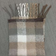 Kendő, amint azt Arriva West-Brabant az iLost segítségével jelentette.