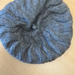 Casquette, as reported by Schönbrunn "Group Center" using iLost