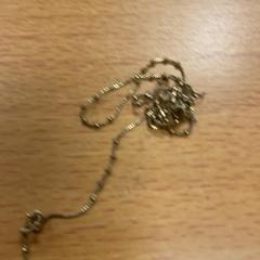 Collaret, segons ha informat Inntel Hotels Amsterdam Centre mitjançant iLost