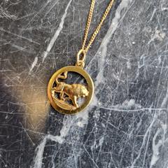 Goudkleurige ketting, amint azt az iLostnak jelentették.