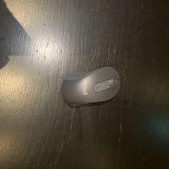 Ratolí, segons ha informat Van der Valk Hotel Amsterdam-Amstel mitjançant iLost