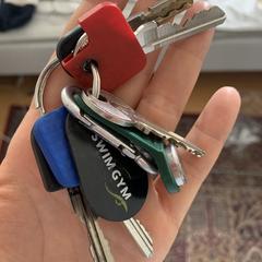 Lost keys, som rapporterats till iLost
