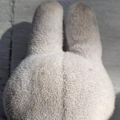 クッション がiLostで DierenPark Amersfoort によって報告されました