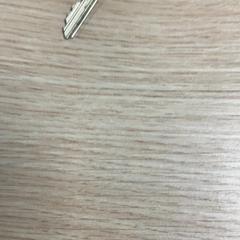 Nyckel, rapporterat av Diakonessenhuis Utrecht med iLost