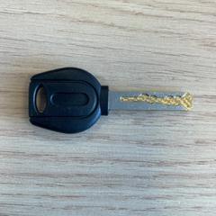 Chiave della bicicletta, come riportato da RAI Amsterdam utilizzando iLost