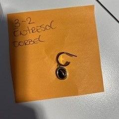 Boucle d'oreille, a été signalé par Cursus en vergadercentrum Domstad utilisant iLost