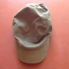 Bruine pet, as reported by Apenheul using iLost