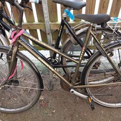 Bicicletta Batavus Mohawk, come riportato da Fietsdepot Meierijstad utilizzando iLost