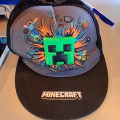 İLost kullanarak Familiepark Drievliet tarafından bildirildiği gibi Pet Van Minecraft