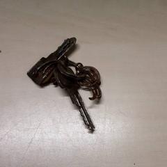 Chaves, segundo informou Arriva Oost-Brabant usando iLost