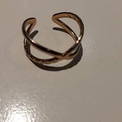 Xoias, segundo informou Campus Den Haag usando iLost