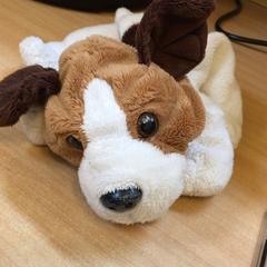 Knuffel, gemeldet von Het Spoorwegmuseum über iLost