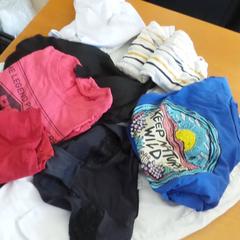 الملابس clothes، كما تم الإبلاغ عنه بواسطة Carlton Beach Hotel عبر iLost