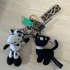 Sleutelbos, som rapportert til iLost