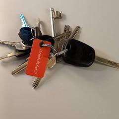 Sleutelbos, zoals gemeld door Padualaan 99 met iLost