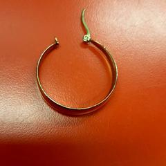 Ørering, som rapportert av UvA REC ved bruk av iLost