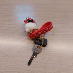 Kľúče, ako bolo nahlásené Regio Limburg - Leuven pomocou iLost