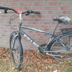 Bicicleta masculina Run bike grijs/groen, segons ha informat Fietsendepot Weert mitjançant iLost