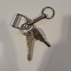 Klíčenka, jak nahlášeno Gemeente Duiven pomocí iLost