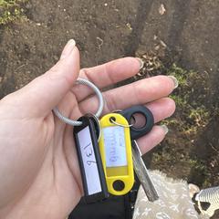 Sleutels がiLostに報告されました