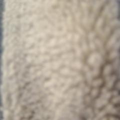 ジャケット がiLostで Walibi Holland によって報告されました