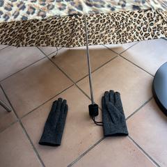 Een paar handschoenen en een paraplu a été signalé sur iLost