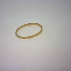 Pulseira, segundo informou Bobbejaanland usando iLost