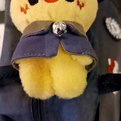 Tas, zoals gemeld door RRReis IJssel-Vecht met iLost