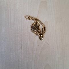 Naszyjnik Goudkleurig, zgłoszono przez Connexxion Haarlem IJmond przy użyciu iLost