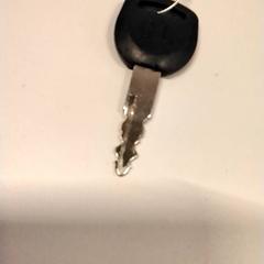 Llave, ha sido reportado por Gemeente Puurs-Sint-Amands con iLost